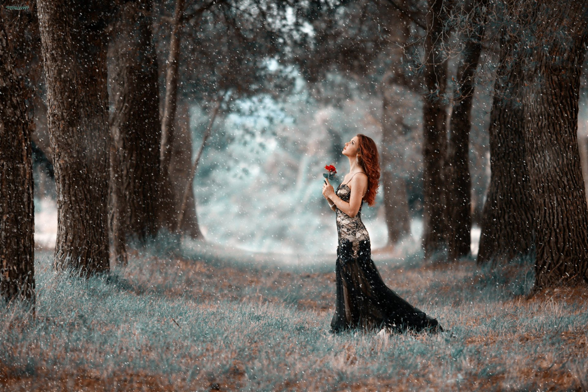 A red-haired woman in an elegant dress stands amidst falling snow in a wooded area, holding a red rose. HD desktop wallpaper background.