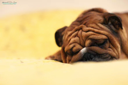  After a hard days work by Alessandro Di Cicco