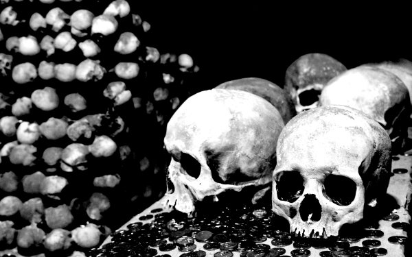 Dark Skull HD Wallpaper | Background Image