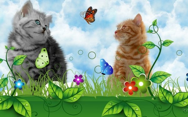 Animal Cat HD Wallpaper | Background Image