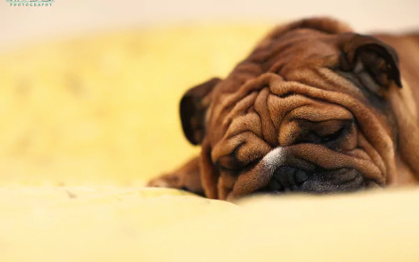  After a hard days work by Alessandro Di Cicco