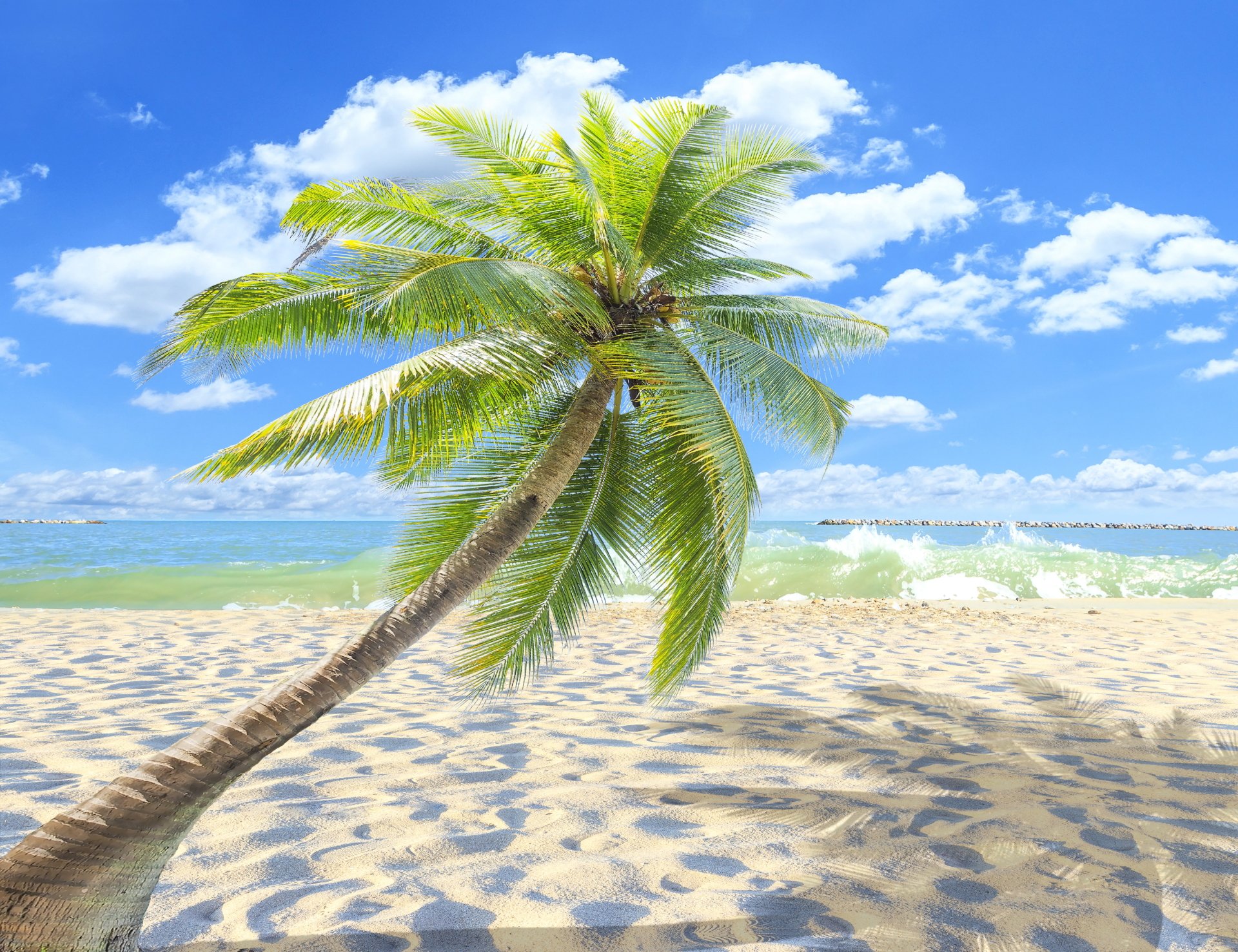 A vibrant 4K Ultra HD desktop wallpaper featuring a palm tree on a sandy beach under a bright blue sky with scattered clouds.