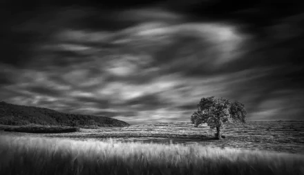 Black and white HD desktop wallpaper showing a solitary tree in a vast field under dramatic, swirling clouds in a natural landscape.