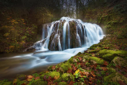 A serene forest scene featuring a cascading waterfall, surrounded by lush moss and vibrant leaves, with a gentle stream flowing through the tranquil natural setting.