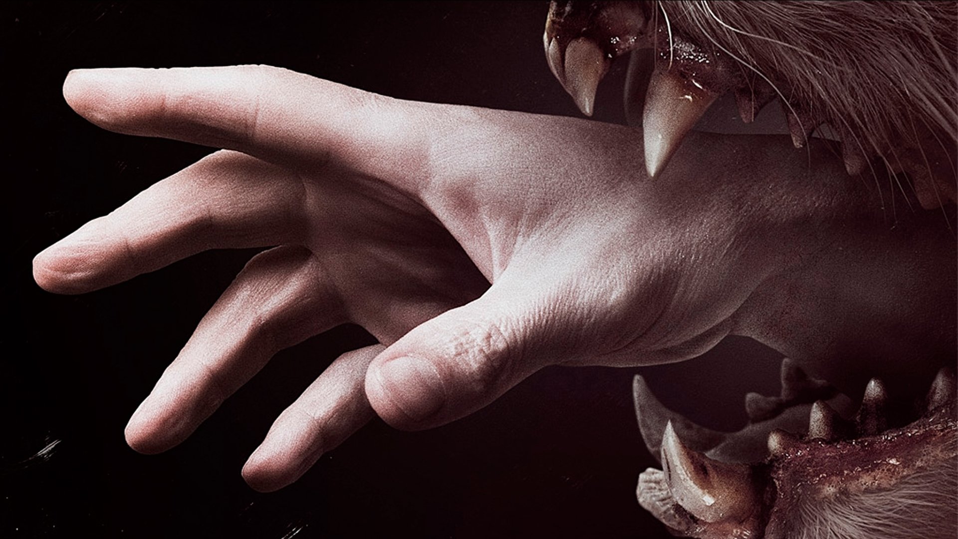 Download TV Show Hemlock Grove HD Wallpaper