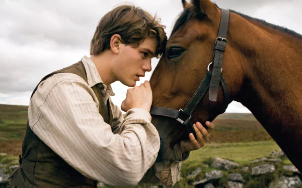 movie War Horse HD Desktop Wallpaper | Background Image