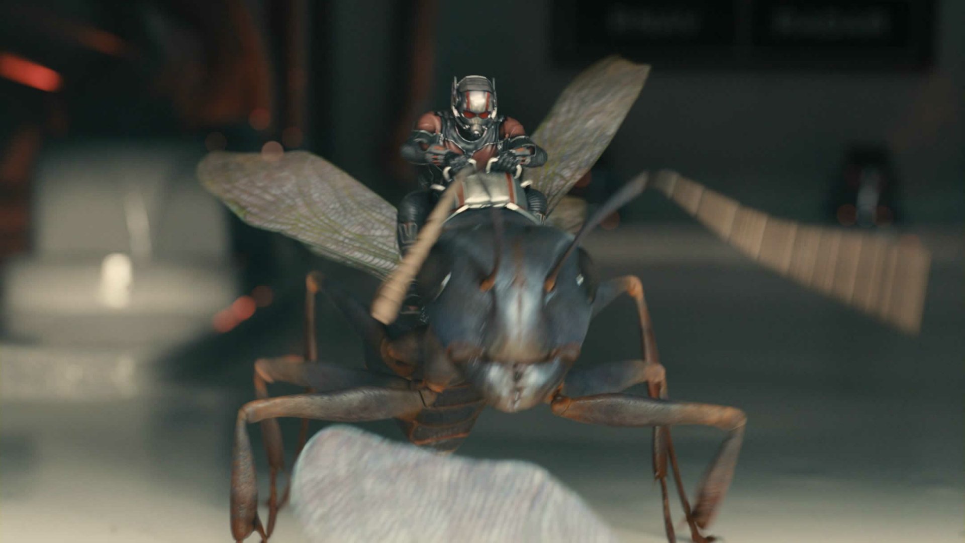 A dynamic HD desktop wallpaper featuring Ant-Man riding on the back of a giant ant, showcasing action and adventure from the movie.