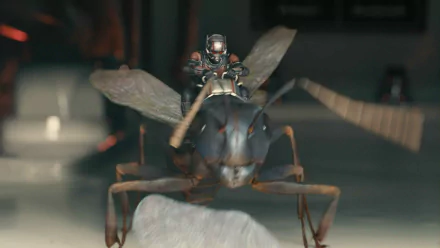 A dynamic HD desktop wallpaper featuring Ant-Man riding on the back of a giant ant, showcasing action and adventure from the movie.
