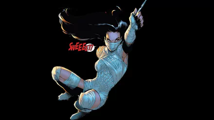 Comic silk HD Desktop Wallpaper | Background Image