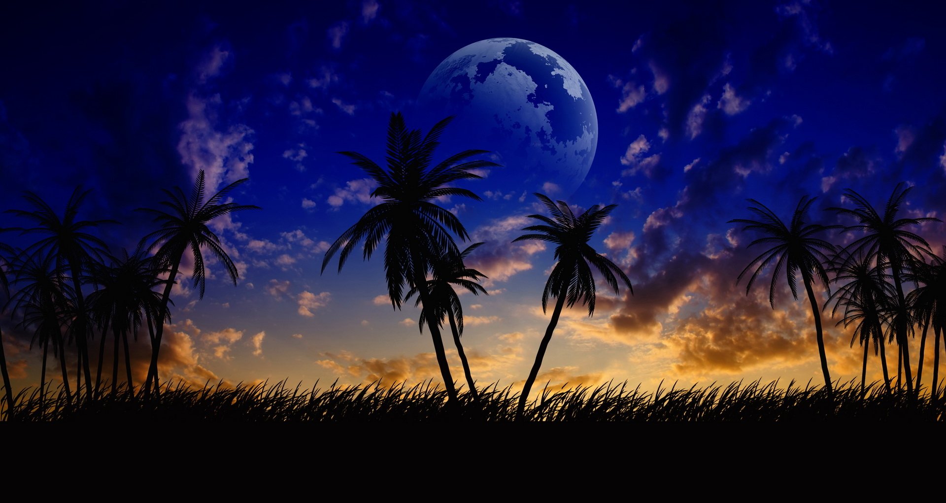 Artistic digital HD PC desktop wallpaper: silhouetted palm trees and tall grass against a vivid twilight sky with a glowing, oversized moon.
