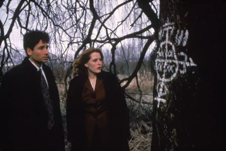 TV Show The X-Files HD Desktop Wallpaper | Background Image