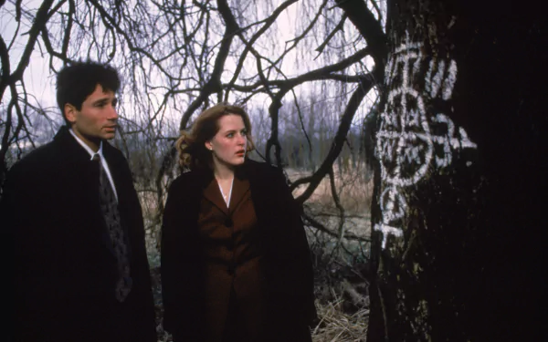 TV Show The X-Files HD Desktop Wallpaper | Background Image