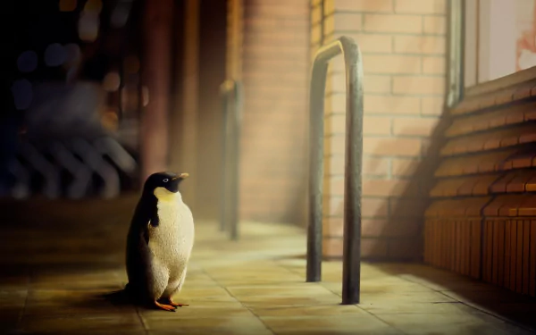Animal penguin HD Desktop Wallpaper | Background Image
