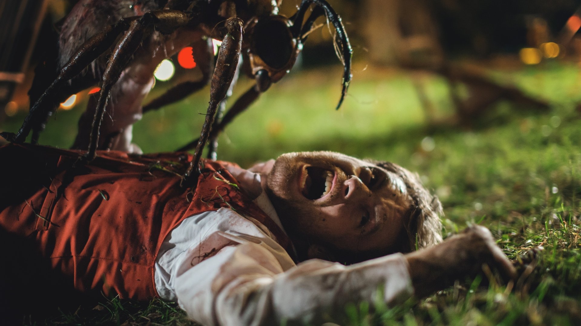 Download Movie Stung 4k Ultra HD Wallpaper