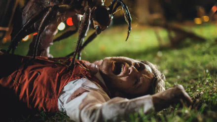 movie Stung HD Desktop Wallpaper | Background Image