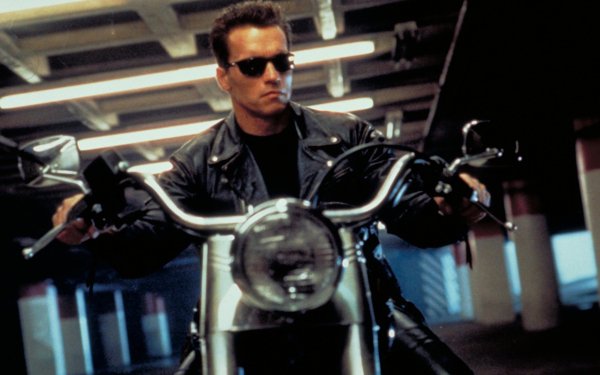 Movie Terminator 2: Judgment Day Terminator Arnold Schwarzenegger The Terminator HD Wallpaper | Background Image