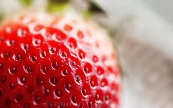 food strawberry HD Desktop Wallpaper | Background Image