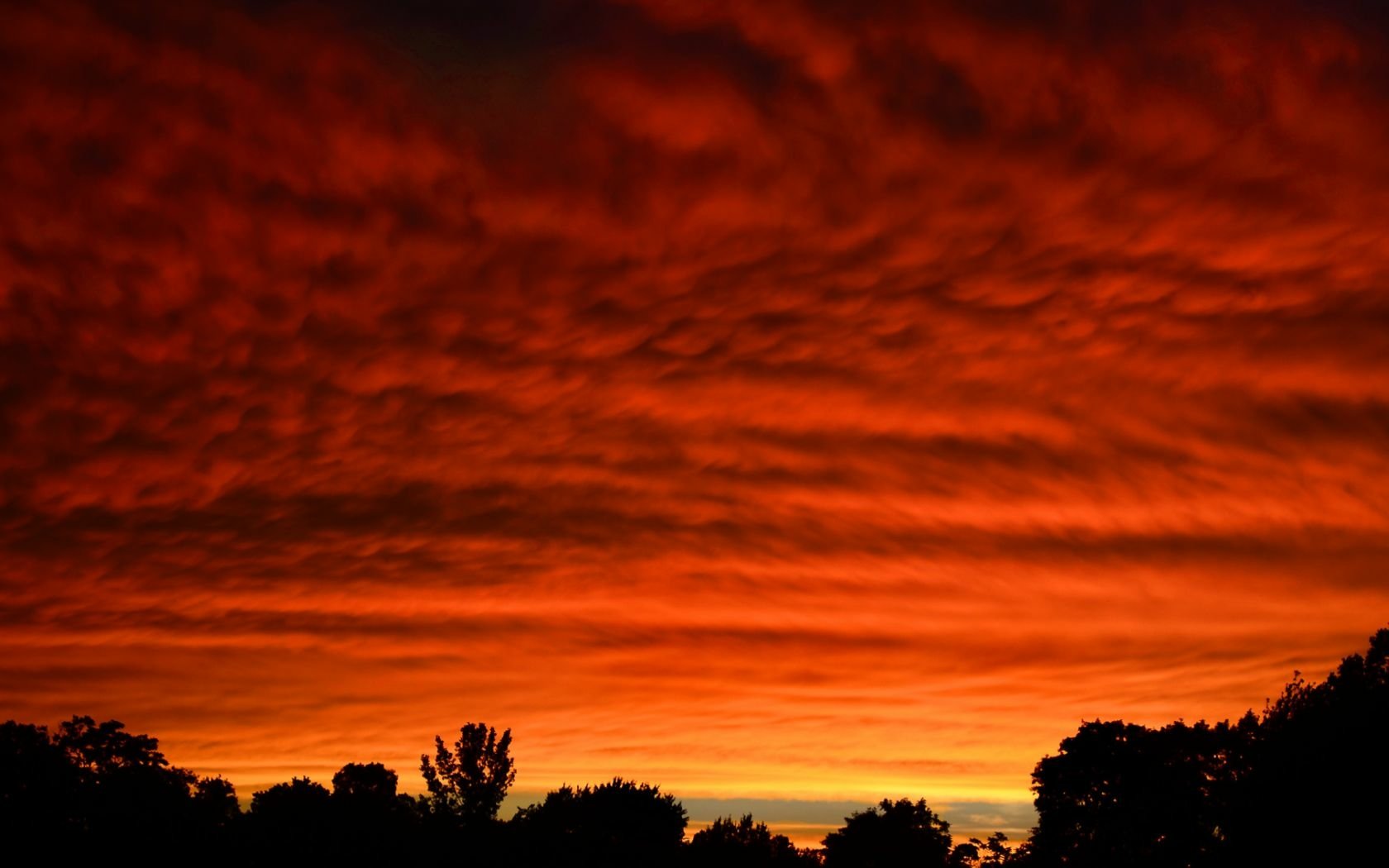 Download Nature Sunset Wallpaper