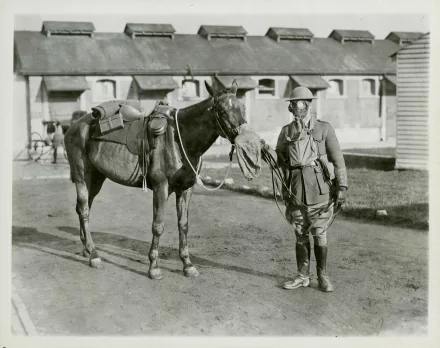 Black and white World War I military photo showing a soldier standing beside a saddled horse, used as an HD PC desktop wallpaper and background.