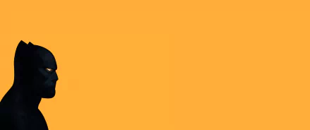 A striking HD desktop wallpaper featuring Black Panther from Marvel Comics, with a bold orange background that enhances the iconic character's silhouette.