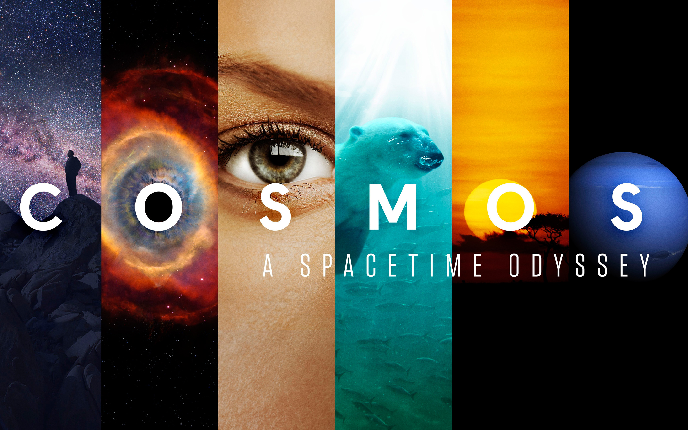 Netflix Cosmos A Spacetime Odyssey Tv Series 2014