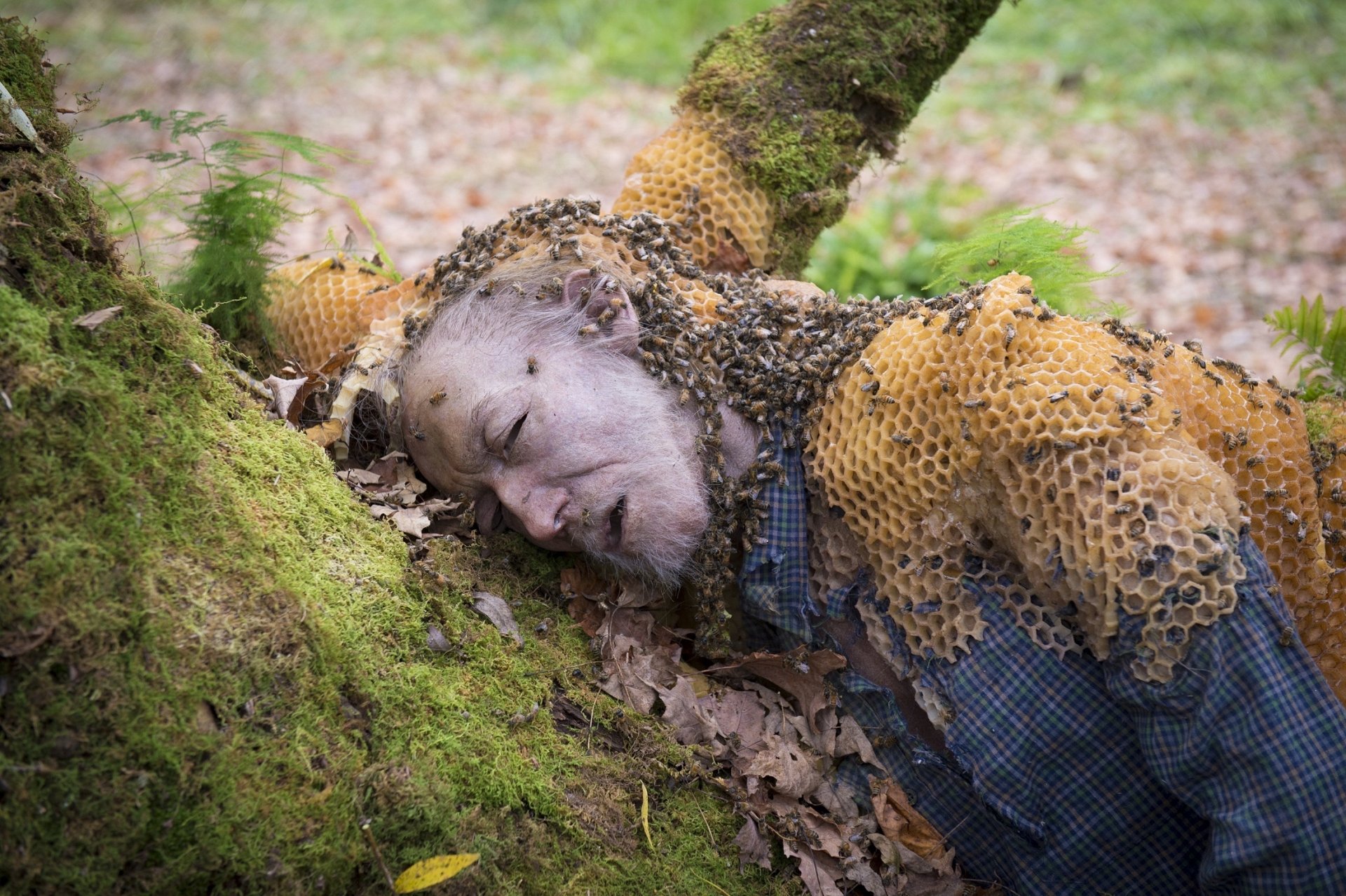 Download TV Show Hannibal HD Wallpaper