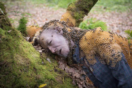 TV Show Hannibal HD Desktop Wallpaper | Background Image