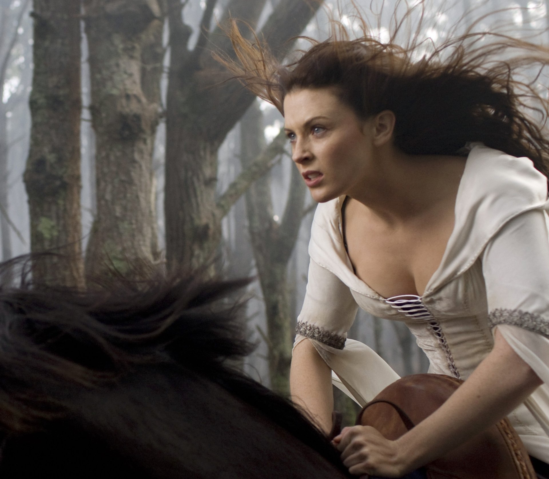 Download Bridget Regan TV Show Legend Of The Seeker HD Wallpaper
