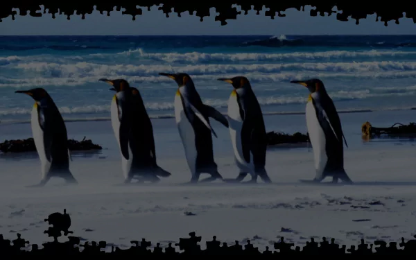 video game Pixel Puzzles 2: Birds HD Desktop Wallpaper | Background Image