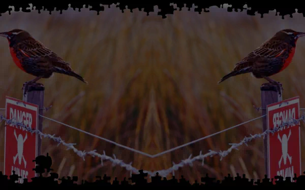 video game Pixel Puzzles 2: Birds HD Desktop Wallpaper | Background Image