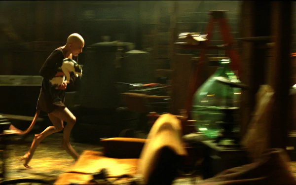 HD PC desktop wallpaper/background from the movie Splice: a pale humanoid creature racing across a dim, cluttered laboratory with glassware in the foreground.