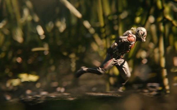 Movie Ant-Man HD Wallpaper | Background Image