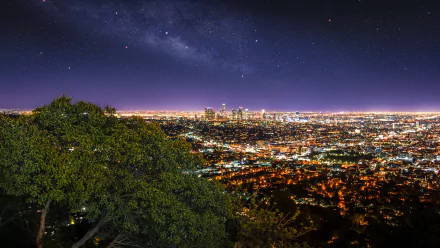 A stunning 4K Ultra HD view of Los Angeles at night, showcasing a vibrant cityscape illuminated by thousands of lights, with a tree framing the scene under a starry sky.