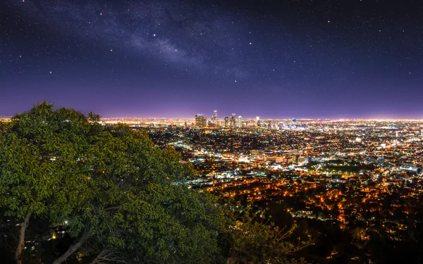 A stunning 4K Ultra HD view of Los Angeles at night, showcasing a vibrant cityscape illuminated by thousands of lights, with a tree framing the scene under a starry sky.