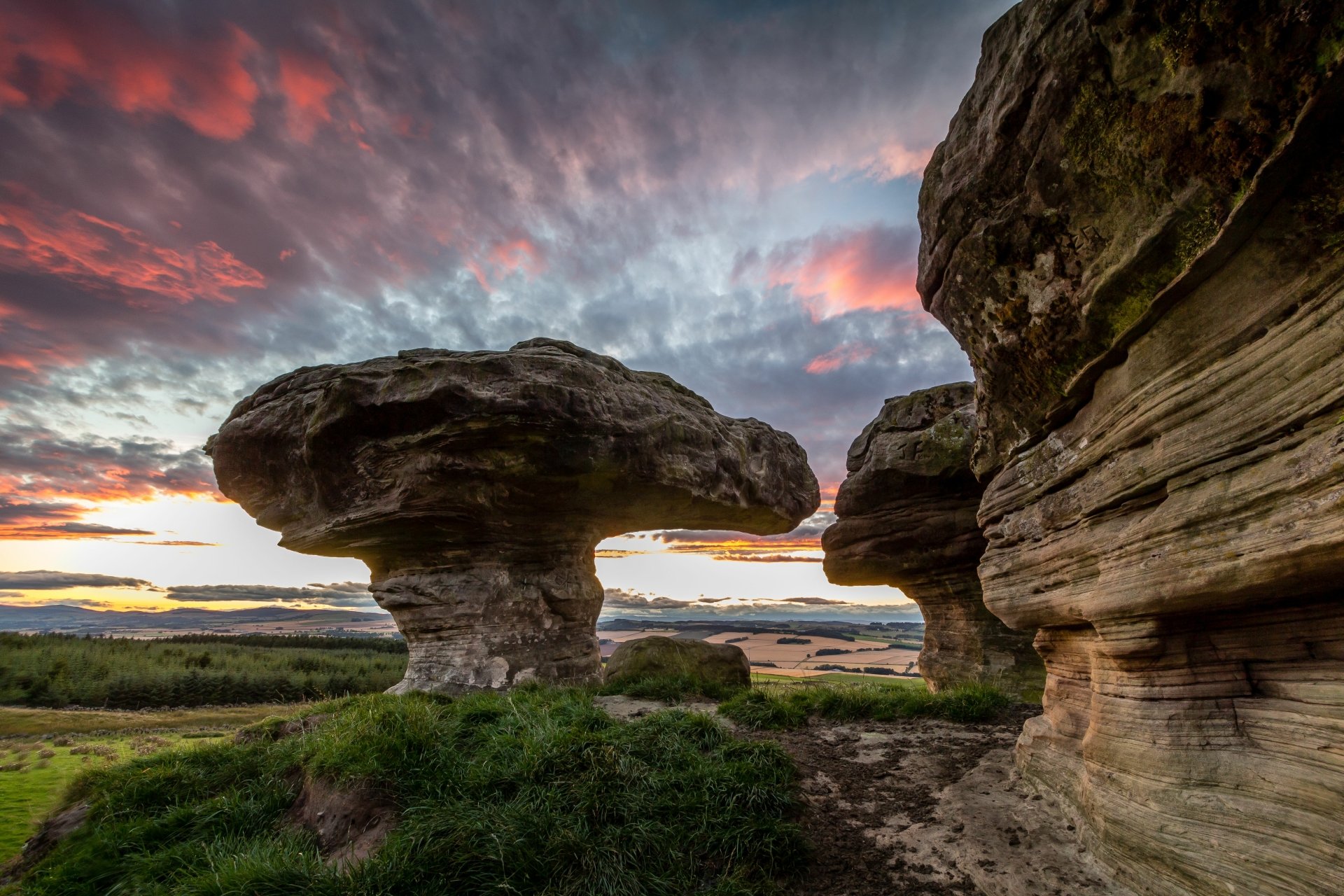 Download Nature Bunnet Stane 4k Ultra HD Wallpaper