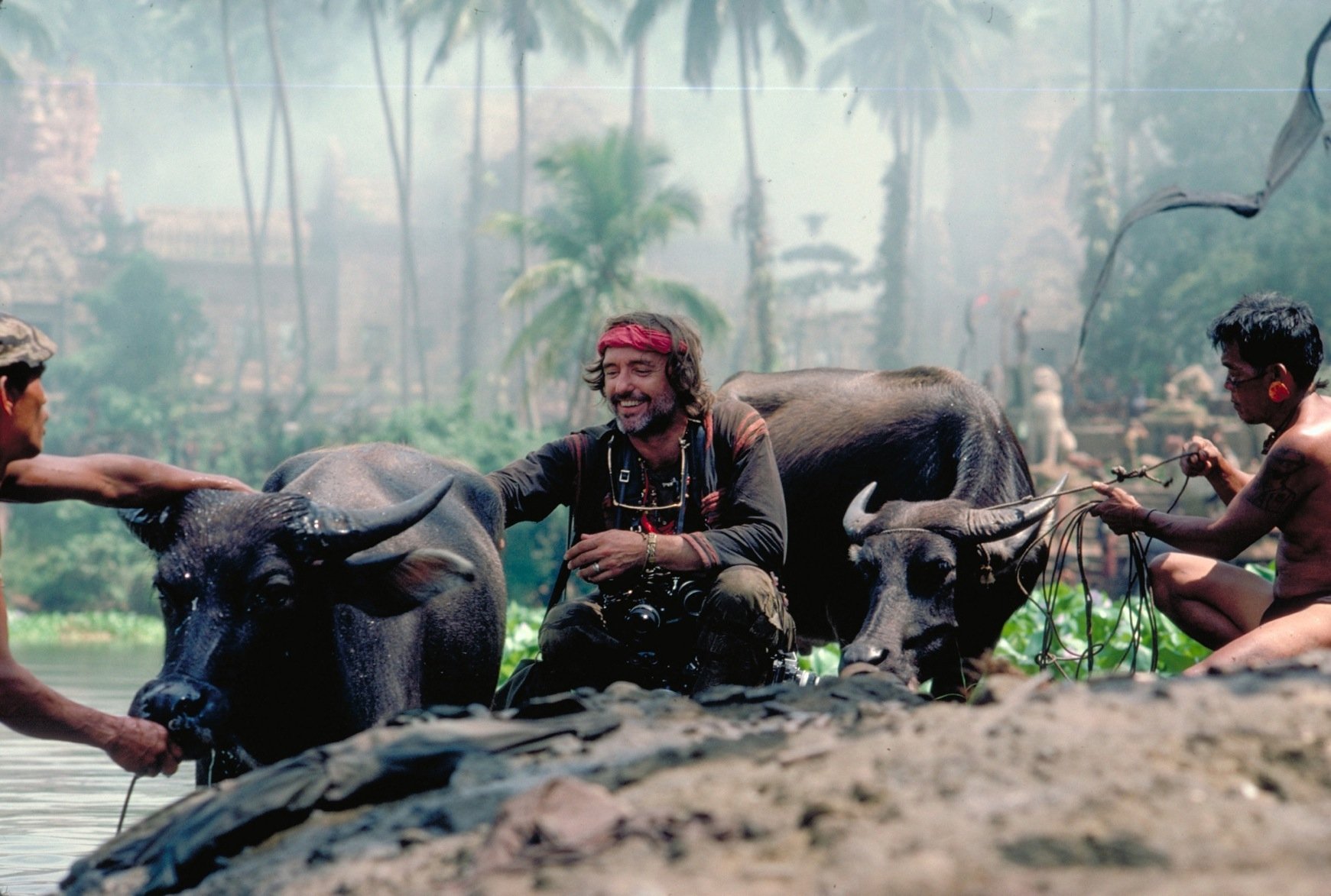 A captivating HD desktop wallpaper from *Apocalypse Now*, featuring a man interacting with water buffalo in a lush, tropical setting, surrounded by palm trees and mist.