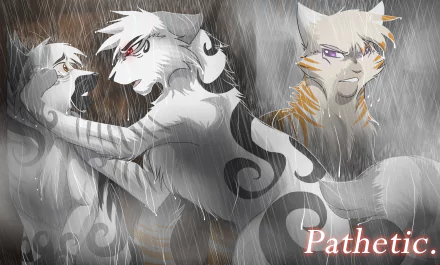 HD fantasy animal desktop wallpaper depicting three expressive, stylized cats with distinct markings and intense emotions amid a rainy, dramatic atmosphere.
