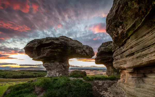 nature Bunnet Stane HD Desktop Wallpaper | Background Image
