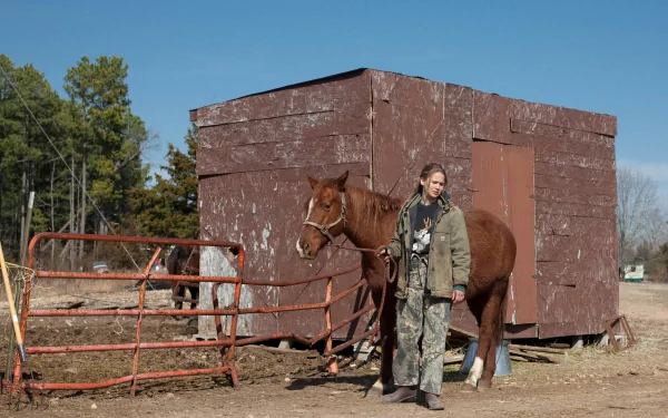 Jennifer Lawrence movie Winter's Bone HD Desktop Wallpaper | Background Image