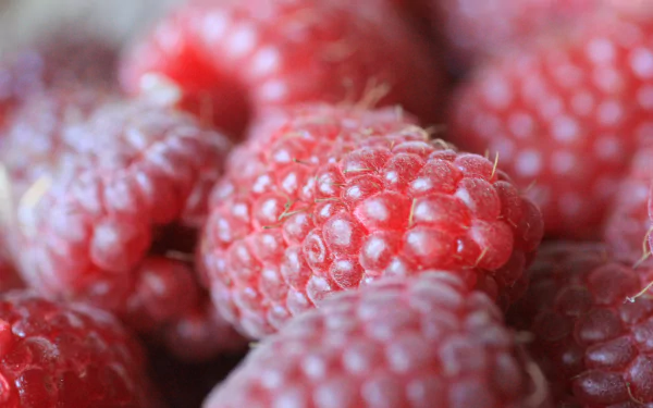 food raspberry HD Desktop Wallpaper | Background Image