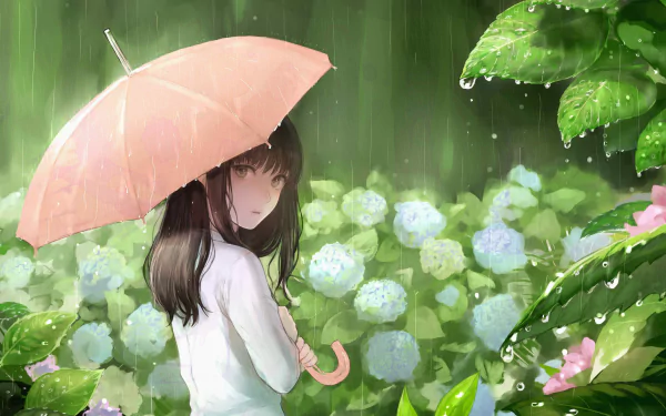 [70+] Rain Anime 4k Wallpapers