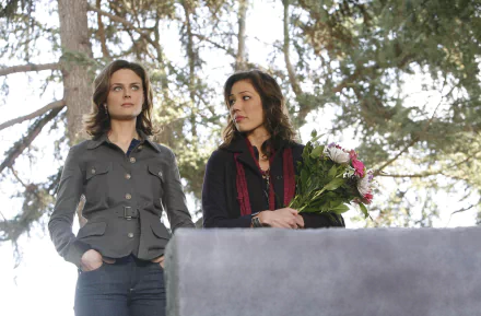 Angela Montenegro Michaela Conlin Emily Deschanel Temperance Brennan TV Show bones HD Desktop Wallpaper | Background Image