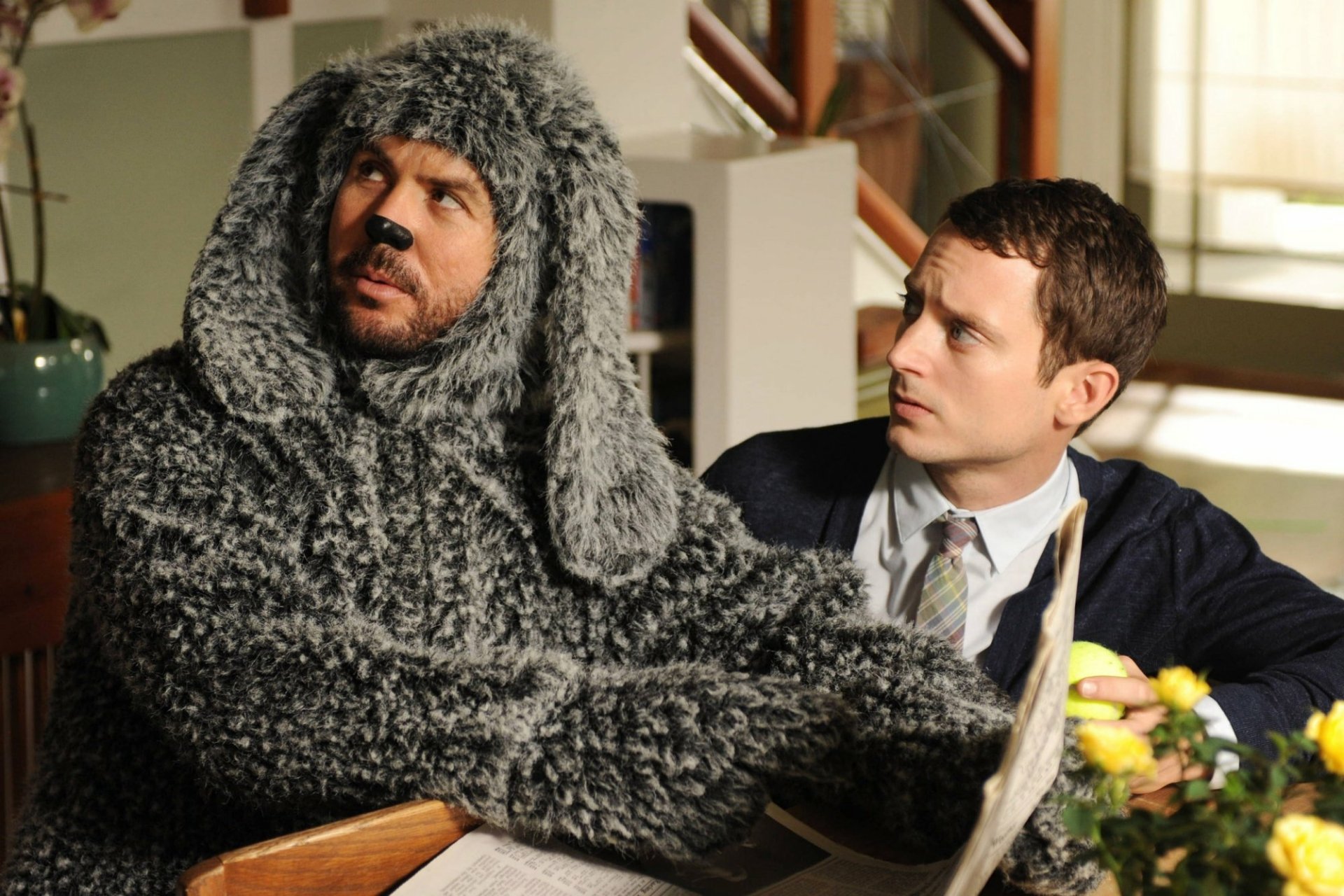Download Jason Gann Sitcom Elijah Wood Wilfred (TV Show) TV Show Wilfred HD Wallpaper