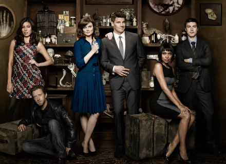 Lance Sweets John Francis Daley Camille Saroyan Tamara Taylor Jack Hodgins T.J. Thyne Angela Montenegro Michaela Conlin Emily Deschanel Temperance Brennan Seeley Booth David Boreanaz TV Show Bones (TV Show) HD Desktop Wallpaper | Background Image