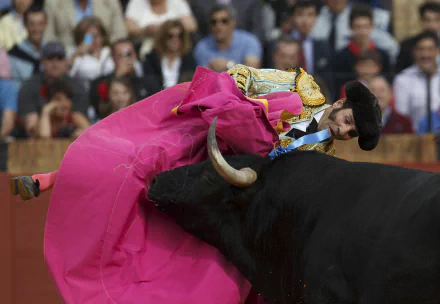 Bullfighting Sports HD Desktop Wallpaper | Background Image