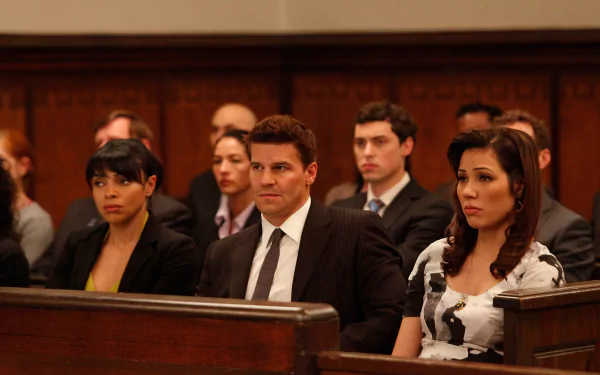 Camille Saroyan Tamara Taylor Angela Montenegro Michaela Conlin Seeley Booth David Boreanaz TV Show Bones (TV Show) HD Desktop Wallpaper | Background Image