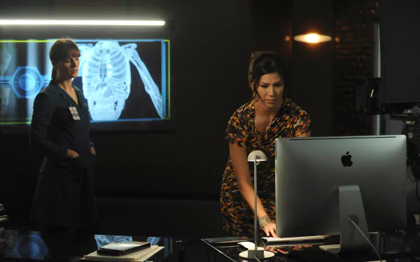 Angela Montenegro Michaela Conlin Emily Deschanel Temperance Brennan TV Show bones HD Desktop Wallpaper | Background Image