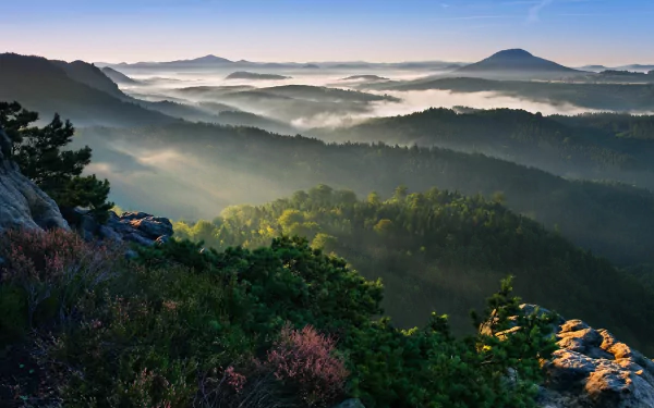 nature fog HD Desktop Wallpaper | Background Image
