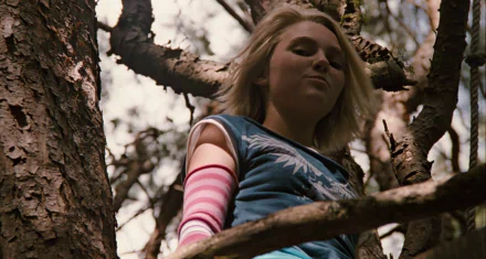 Annasophia Robb in a scene from Bridge to Terabithia, perched in a tree, exuding a sense of adventure and wonder. A vibrant HD wallpaper capturing the film's spirit.
