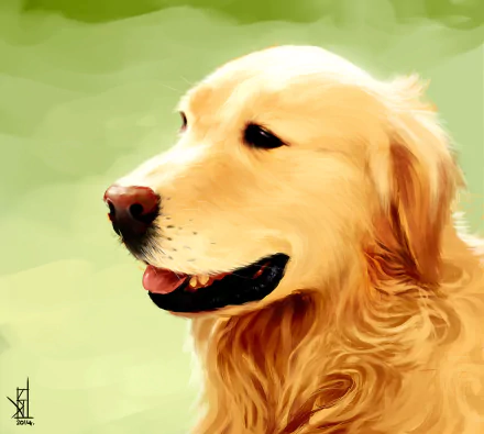 HD wallpaper featuring a golden retriever with a gentle expression, set against a light, blurred background. Ideal background for desktop use.